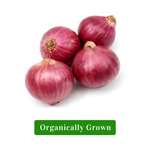 Organic Onion/Organic Kanda